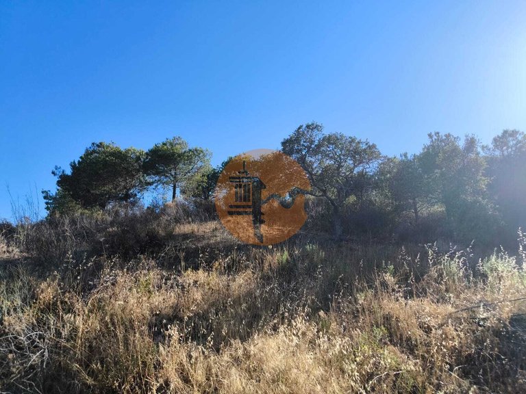 Plot for Sale in Azinhal, Castro Marim, Portugal 22