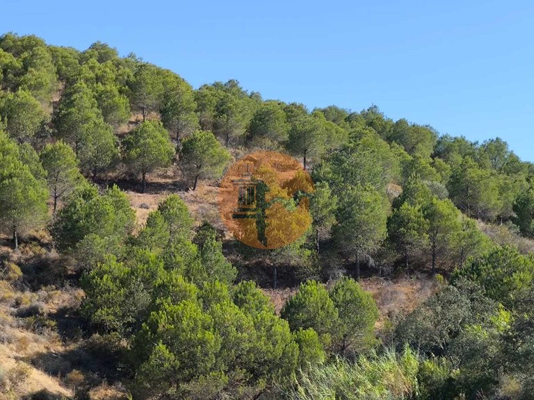 Plot for Sale in Azinhal, Castro Marim, Portugal 24