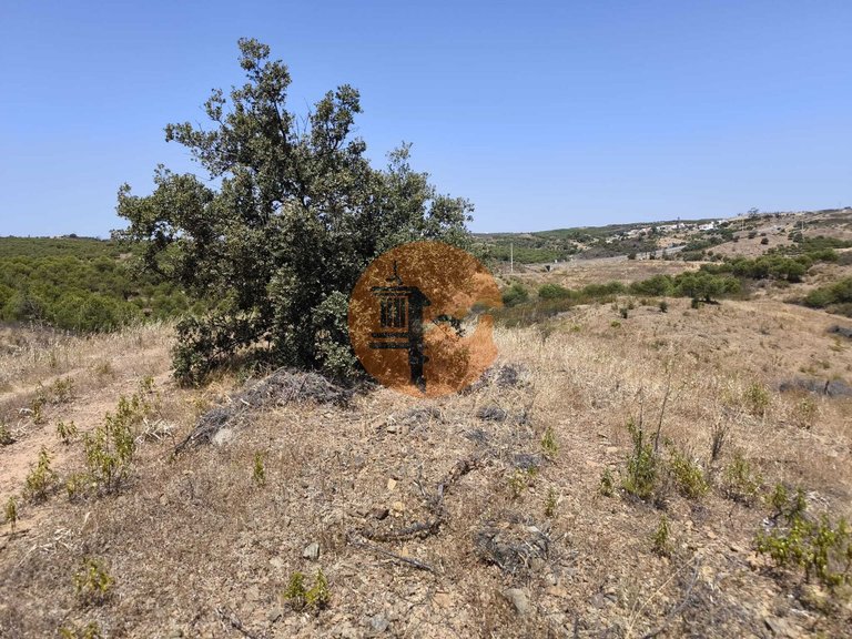 Plot for Sale in Azinhal, Castro Marim, Portugal 30