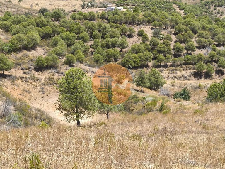 Plot for Sale in Azinhal, Castro Marim, Portugal 32