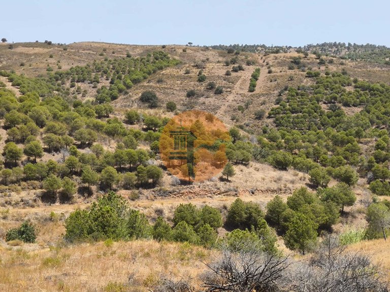 Plot for Sale in Azinhal, Castro Marim, Portugal 33