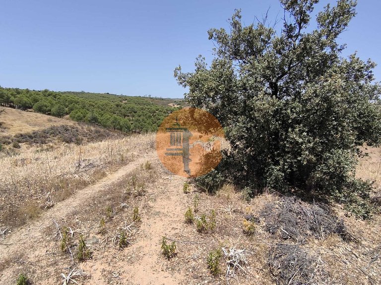 Plot for Sale in Azinhal, Castro Marim, Portugal 36