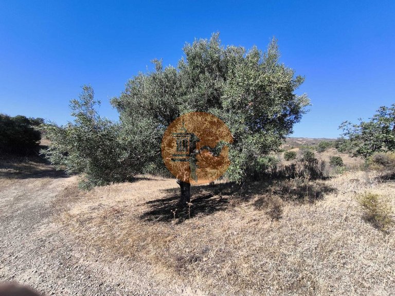 Plot for Sale in Azinhal, Castro Marim, Portugal 4