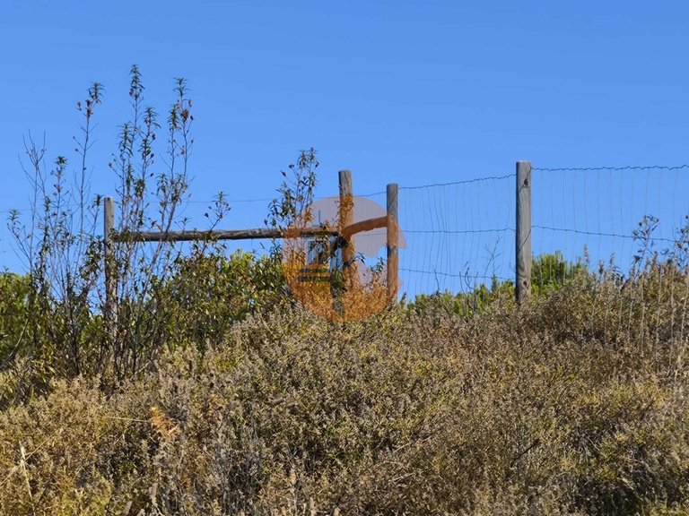 Plot for Sale in Azinhal, Castro Marim, Portugal 5