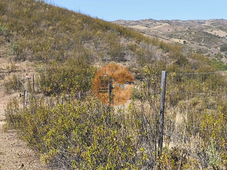 Plot for Sale in Azinhal, Castro Marim, Portugal 6