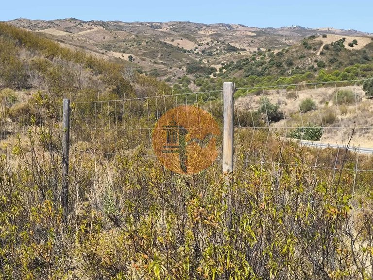 Plot for Sale in Azinhal, Castro Marim, Portugal 8