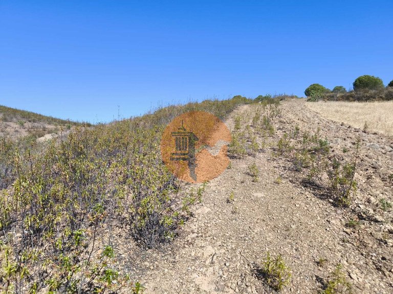 Plot for Sale in Azinhal, Castro Marim, Portugal 13
