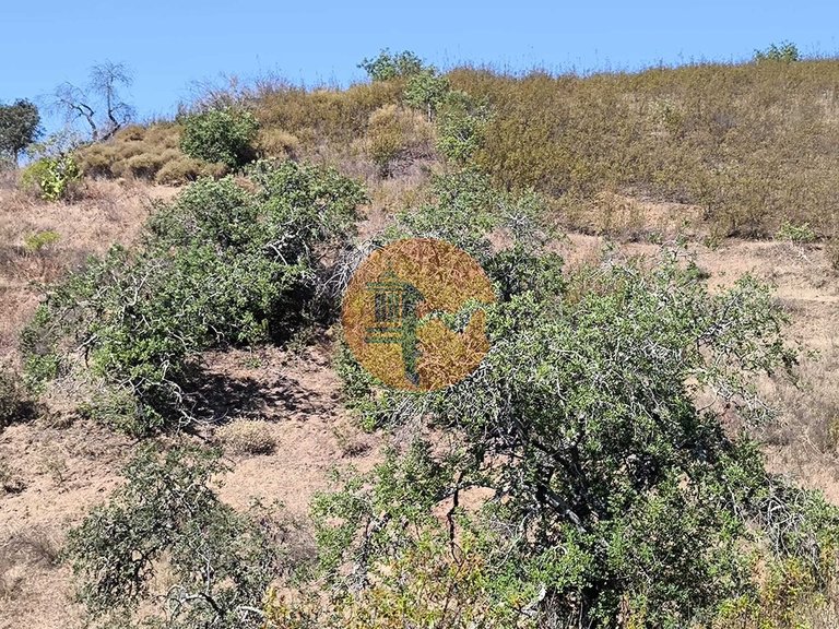 Plot for Sale in Azinhal, Castro Marim, Portugal 14