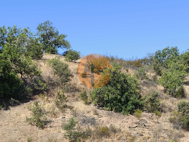 Plot for Sale in Azinhal, Castro Marim, Portugal 15