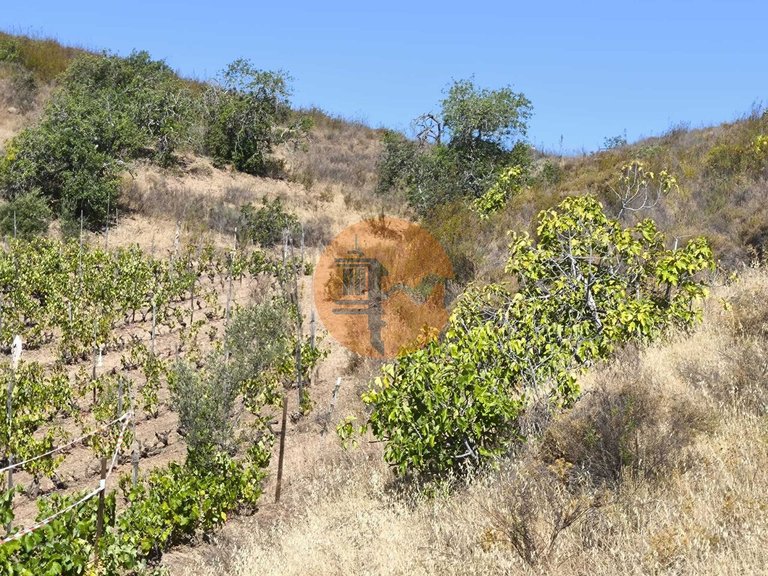 Plot for Sale in Azinhal, Castro Marim, Portugal 16