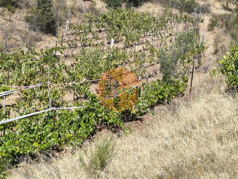Plot for Sale in Azinhal, Castro Marim, Portugal 18