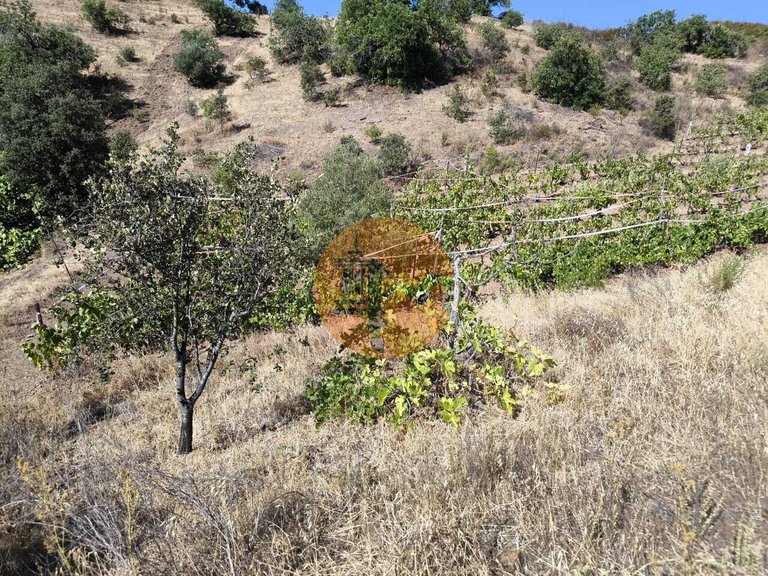Plot for Sale in Azinhal, Castro Marim, Portugal 25