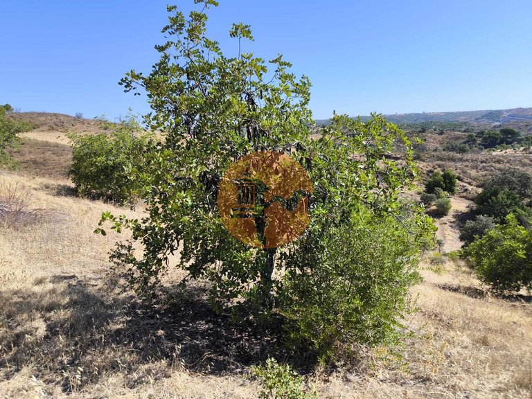 Plot for Sale in Azinhal, Castro Marim, Portugal 31