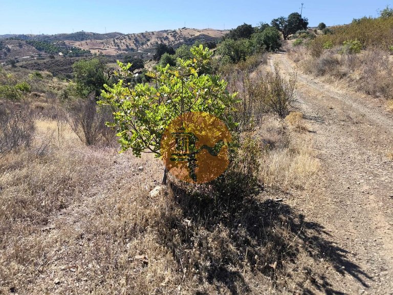 Plot for Sale in Azinhal, Castro Marim, Portugal 40