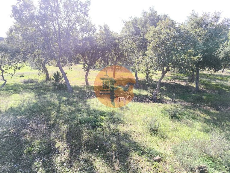 Plot for Sale in Odeleite, Castro Marim, Portugal 4