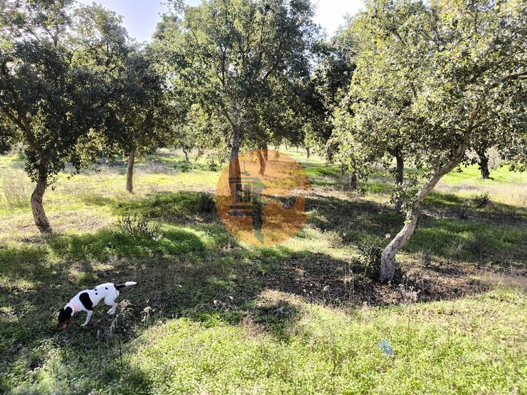 Plot for Sale in Odeleite, Castro Marim, Portugal 1
