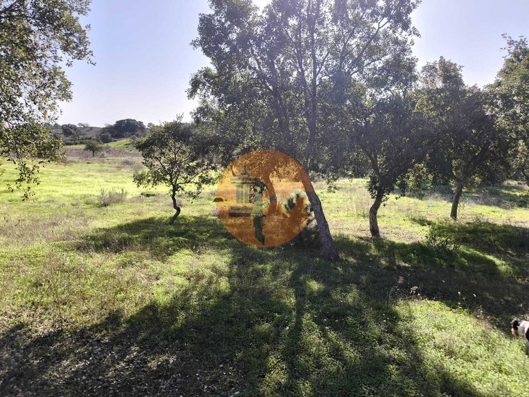 Plot for Sale in Odeleite, Castro Marim, Portugal 8