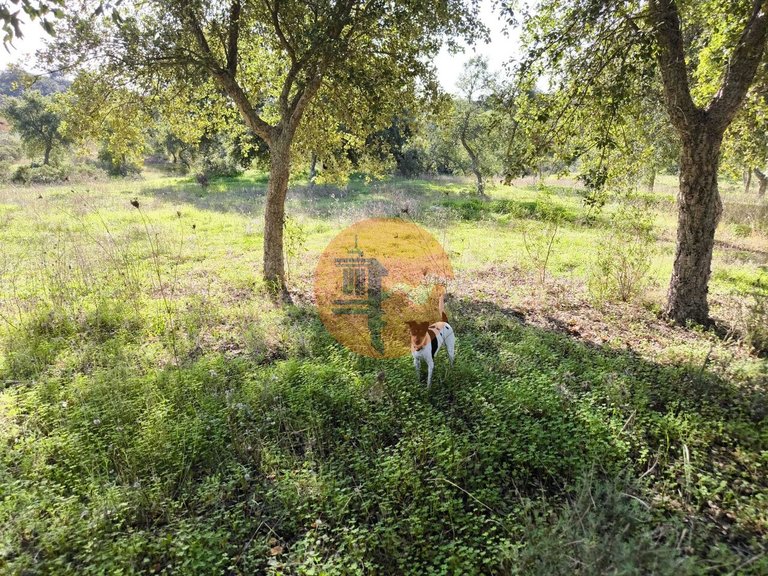 Plot for Sale in Odeleite, Castro Marim, Portugal 10