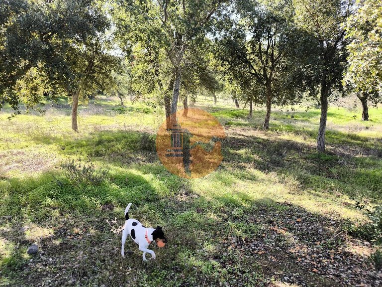 Plot for Sale in Odeleite, Castro Marim, Portugal 12