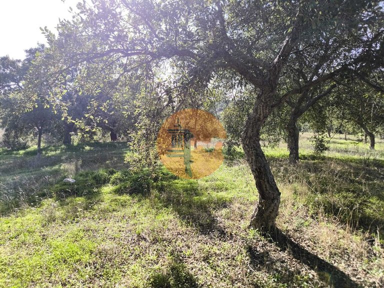 Plot for Sale in Odeleite, Castro Marim, Portugal 13