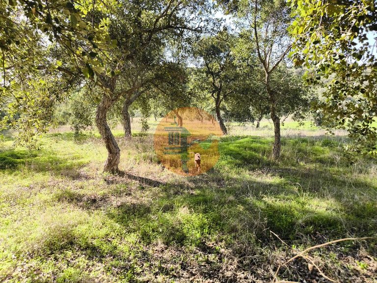 Plot for Sale in Odeleite, Castro Marim, Portugal 14