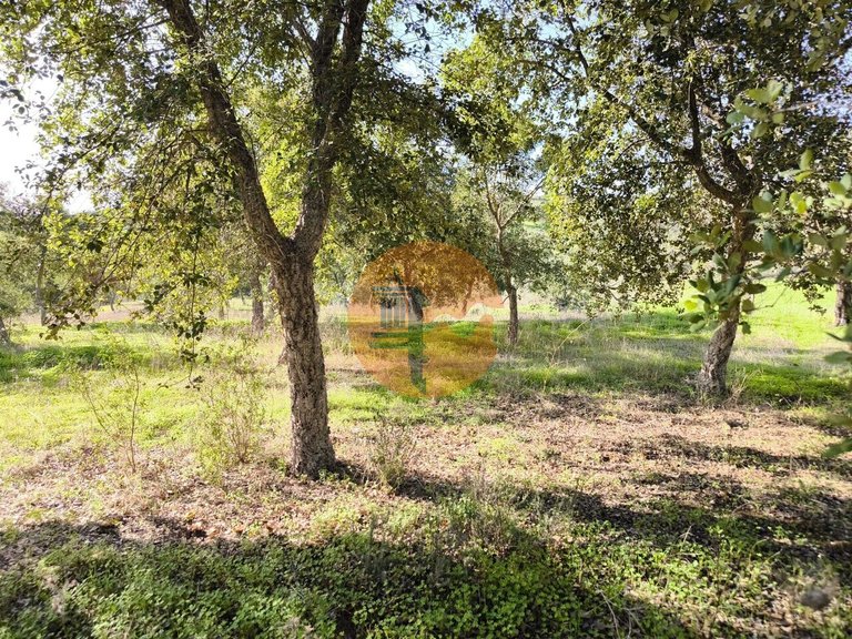 Plot for Sale in Odeleite, Castro Marim, Portugal 15
