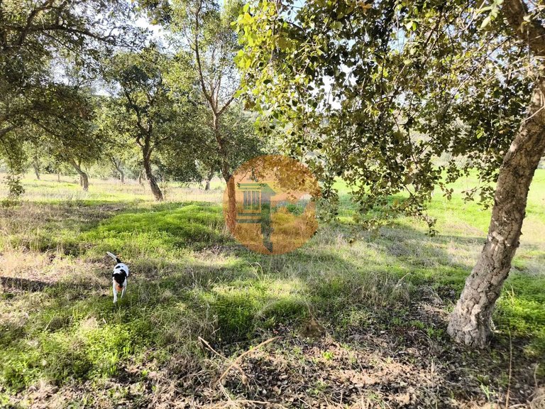 Plot for Sale in Odeleite, Castro Marim, Portugal 16