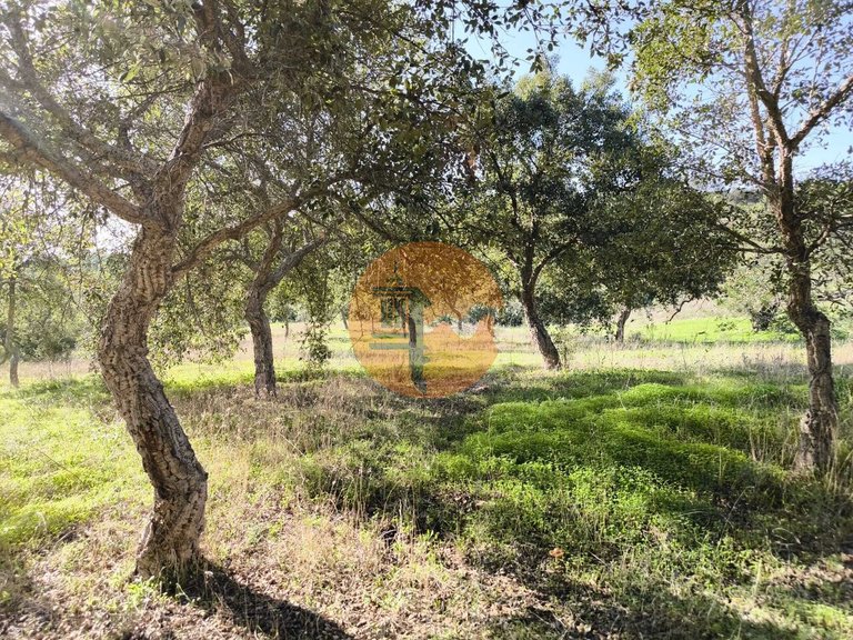 Plot for Sale in Odeleite, Castro Marim, Portugal 19