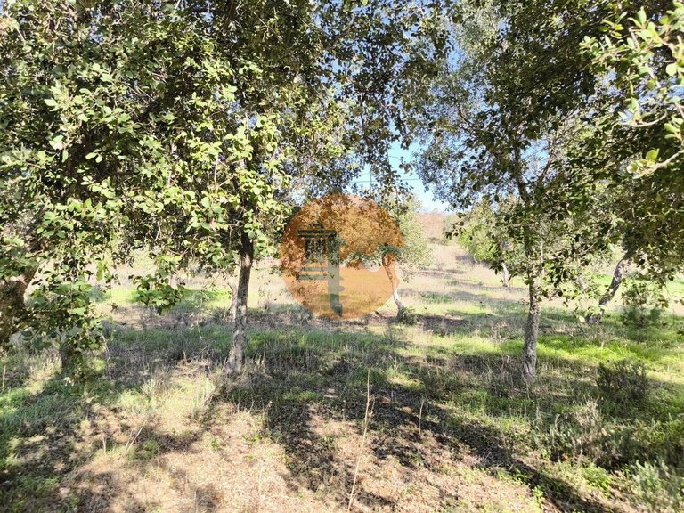 Plot for Sale in Odeleite, Castro Marim, Portugal 20