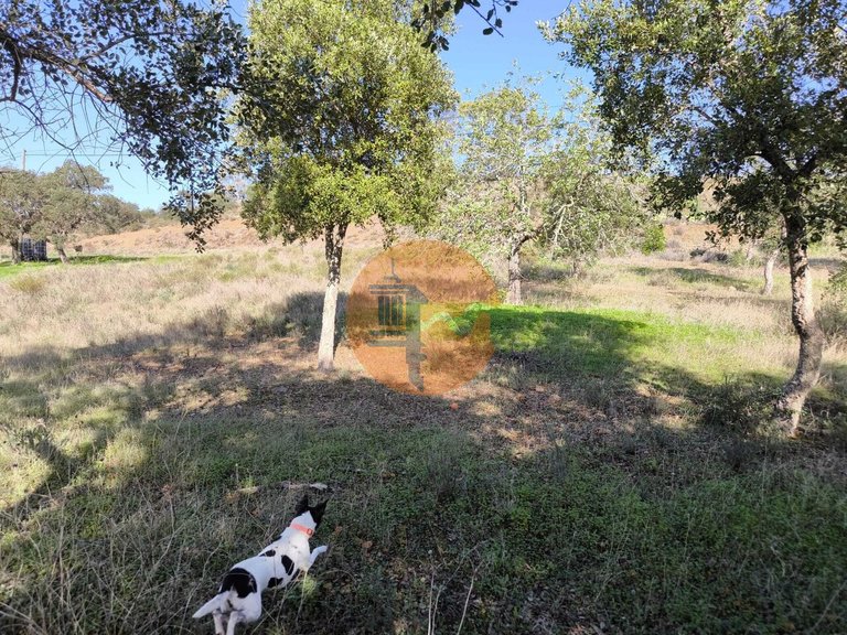 Plot for Sale in Odeleite, Castro Marim, Portugal 23