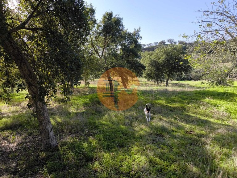 Plot for Sale in Odeleite, Castro Marim, Portugal 24