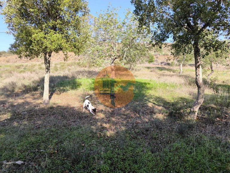 Plot for Sale in Odeleite, Castro Marim, Portugal 25