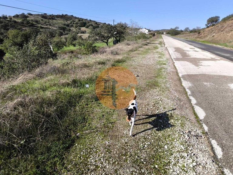 Plot for Sale in Odeleite, Castro Marim, Portugal 27