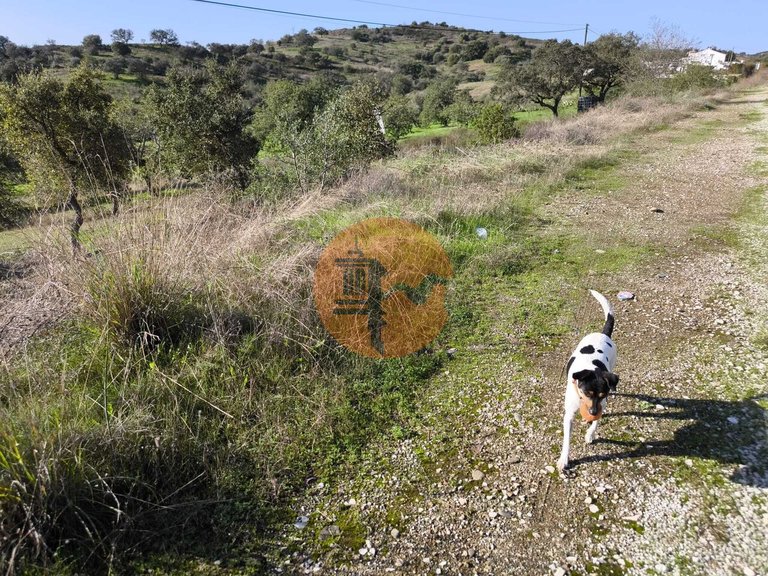 Plot for Sale in Odeleite, Castro Marim, Portugal 28
