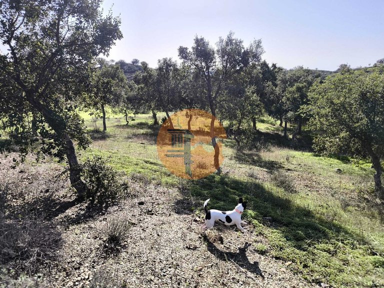 Plot for Sale in Odeleite, Castro Marim, Portugal 31