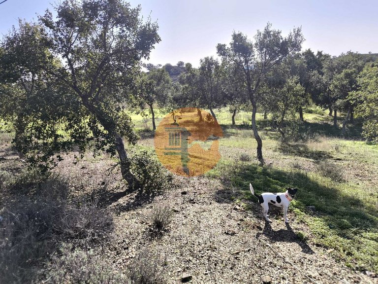 Plot for Sale in Odeleite, Castro Marim, Portugal 32