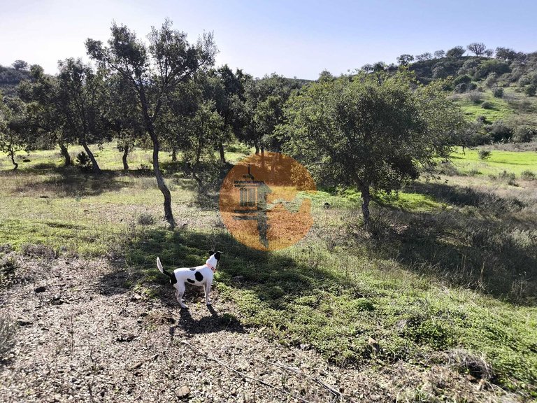 Plot for Sale in Odeleite, Castro Marim, Portugal 33