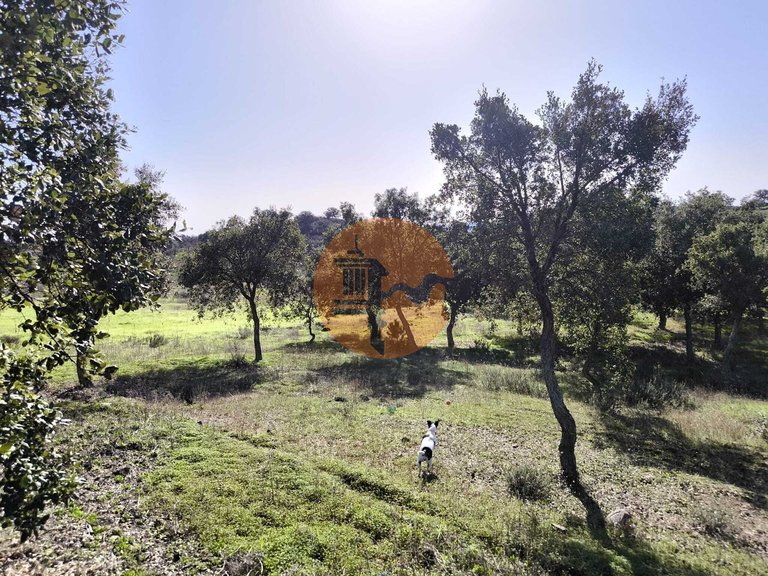 Plot for Sale in Odeleite, Castro Marim, Portugal 35