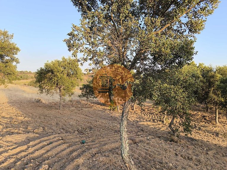 Plot for Sale in Odeleite, Castro Marim, Portugal 3