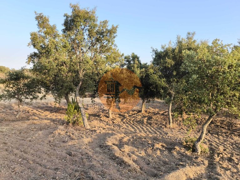 Plot for Sale in Odeleite, Castro Marim, Portugal 38