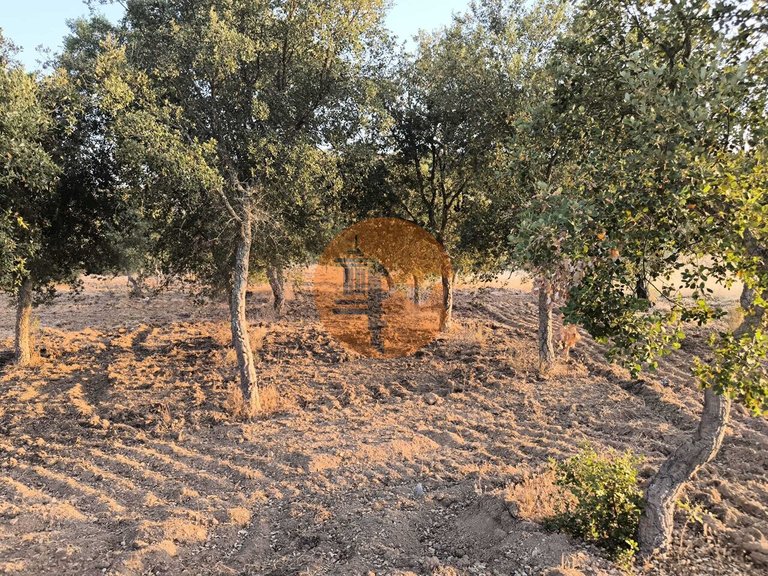 Plot for Sale in Odeleite, Castro Marim, Portugal 39