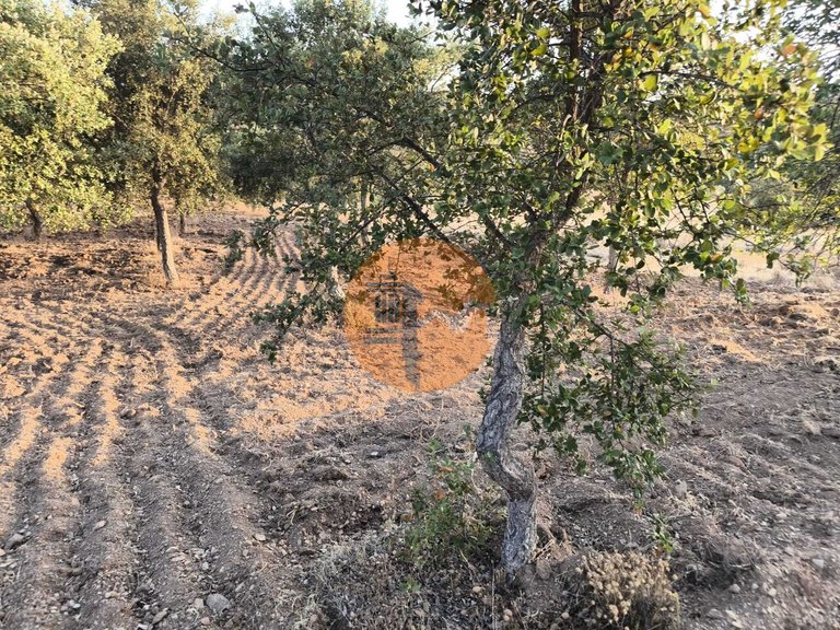 Plot for Sale in Odeleite, Castro Marim, Portugal 40