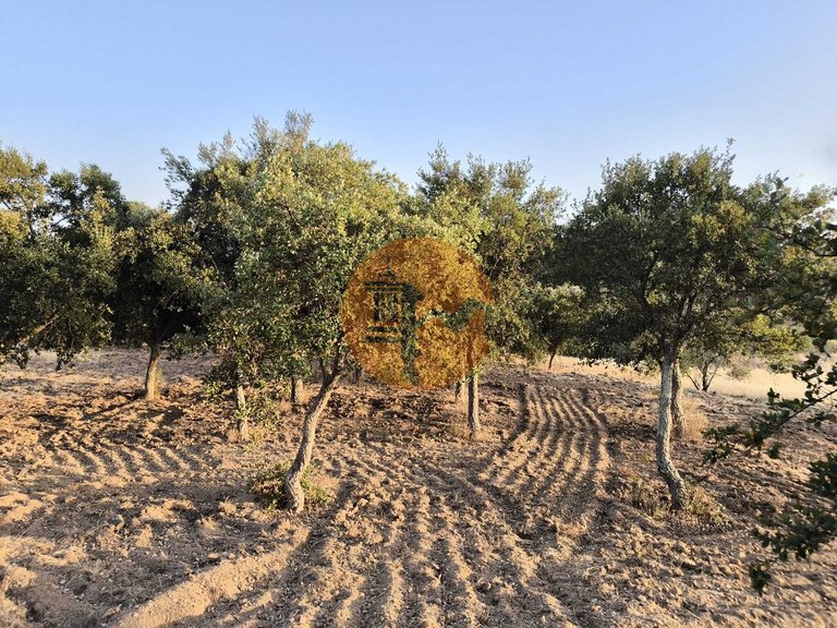 Plot for Sale in Odeleite, Castro Marim, Portugal 41