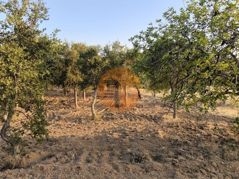 Plot for Sale in Odeleite, Castro Marim, Portugal 42