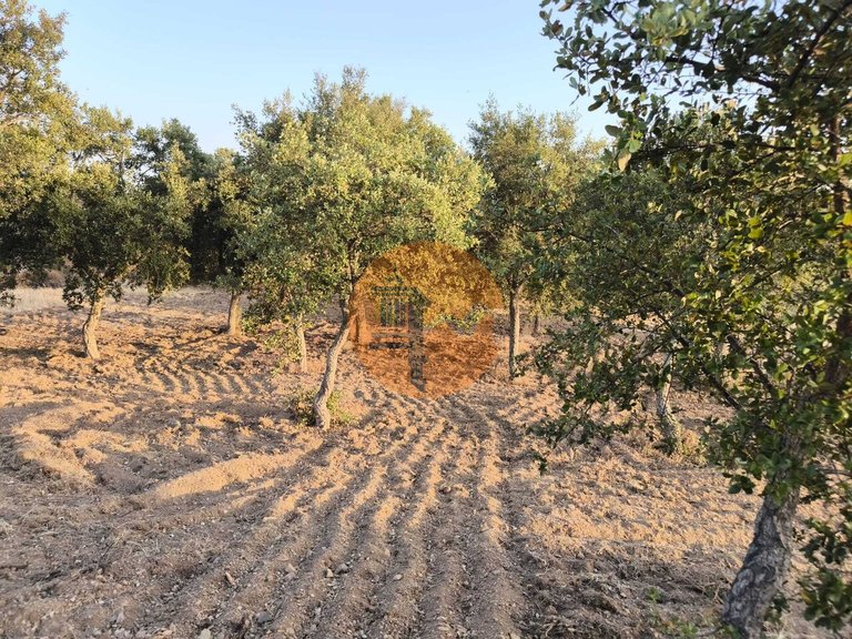 Plot for Sale in Odeleite, Castro Marim, Portugal 6