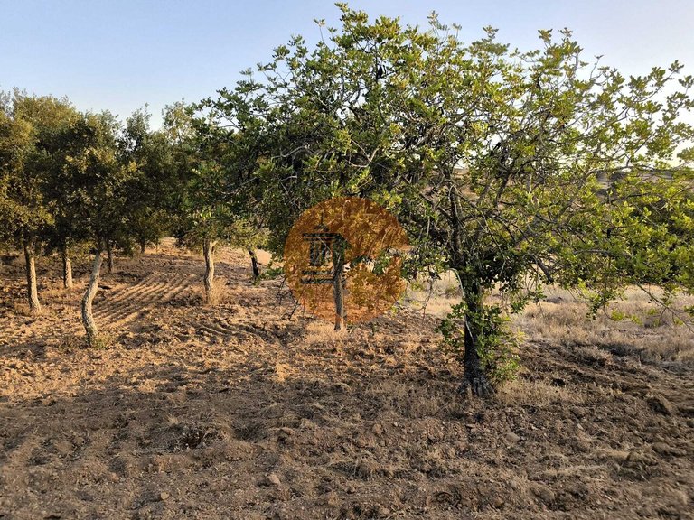 Plot for Sale in Odeleite, Castro Marim, Portugal 43