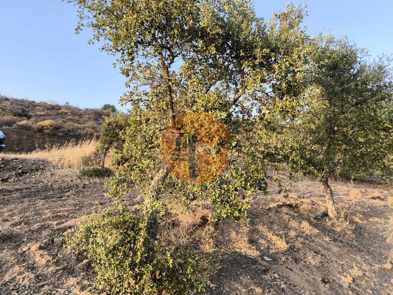 Plot for Sale in Odeleite, Castro Marim, Portugal 45