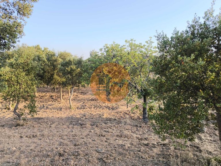 Plot for Sale in Odeleite, Castro Marim, Portugal 46