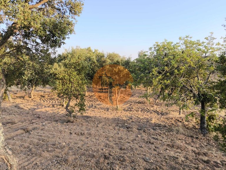 Plot for Sale in Odeleite, Castro Marim, Portugal 49