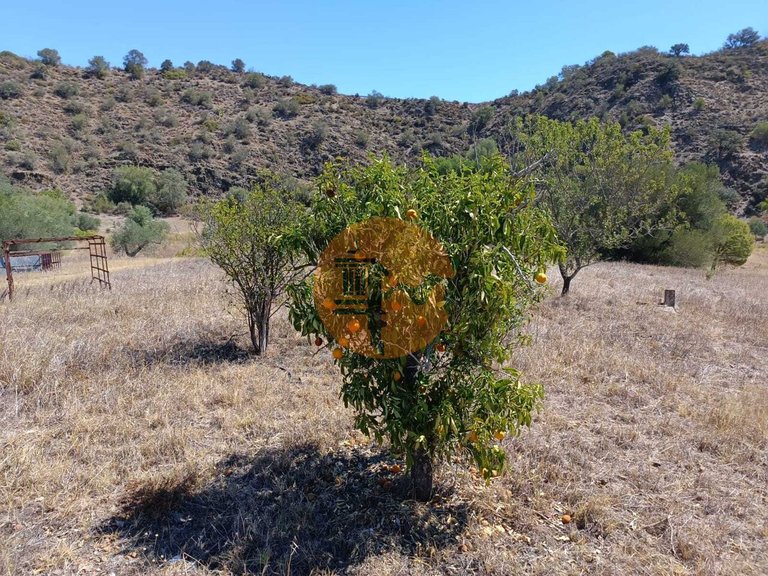 Plot for Sale in Odeleite, Castro Marim, Portugal 22